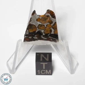 Sericho Pallasite Meteorite 5.5g