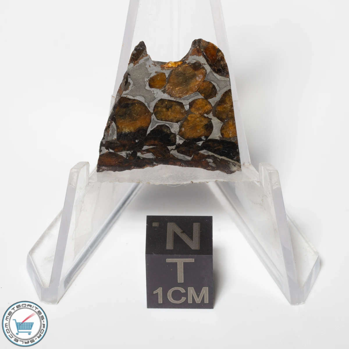 Sericho Pallasite Meteorite 5.5g