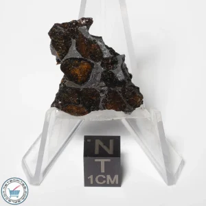 Sericho Pallasite Meteorite 5.4g