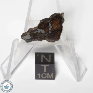 Sericho Pallasite Meteorite 1.7g