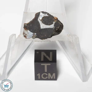 Sericho Pallasite Meteorite 2.0g