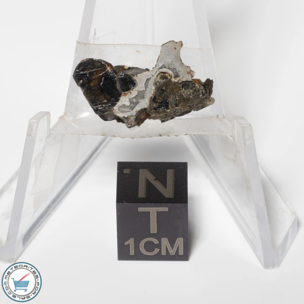 Sericho Pallasite Meteorite 1.9g