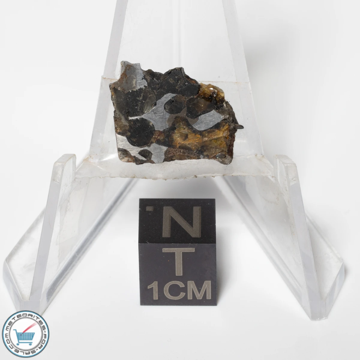 Sericho Pallasite Meteorite 2.3g