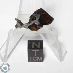 Sericho Pallasite Meteorite 1.4g