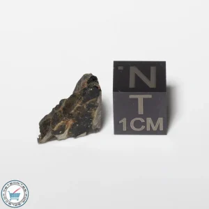 Sericho Pallasite Meteorite 1.6g