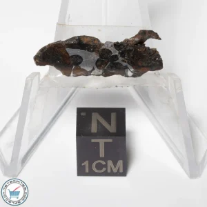 Sericho Pallasite Meteorite 1.4g