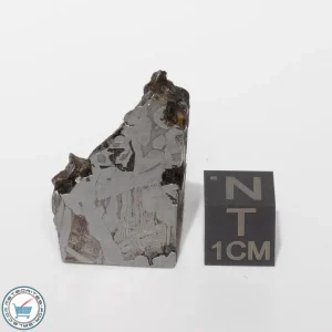 Seymchan Siderite Meteorite 16.8g Slice