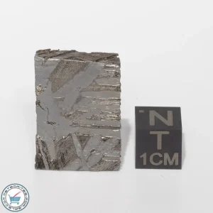 Seymchan Siderite Meteorite 21.3g Slice