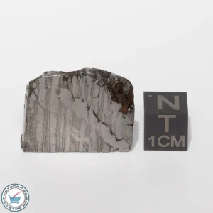 Seymchan Siderite Meteorite 23.3g Slice