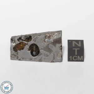 Seymchan Siderite Meteorite 24.8g Slice