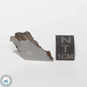 Seymchan Siderite Meteorite 6.1g End-Cut