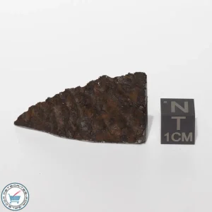 Seymchan Siderite Meteorite 14.1g End-Cut