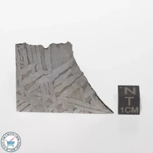 Seymchan Siderite Meteorite 22.5g Slice