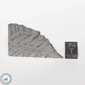 Seymchan Siderite Meteorite 17.1g Slice