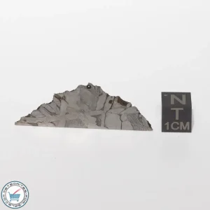 Seymchan Siderite Meteorite 6.9g End-Cut
