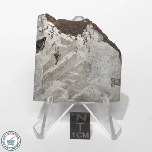 Toluca Meteorite 57.1g Slice