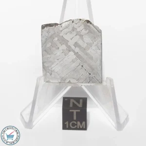 Toluca Meteorite 15.6g Slice