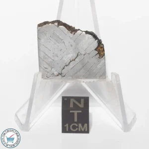 Toluca Meteorite 10.5g Slice