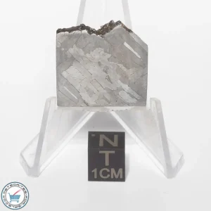 Toluca Meteorite 12.6g Slice