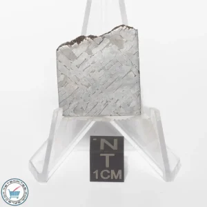 Toluca Meteorite 10.6g Slice