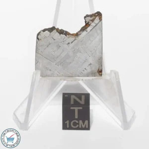 Toluca Meteorite 8.8g Slice