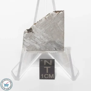 Toluca Meteorite 13.2g Slice