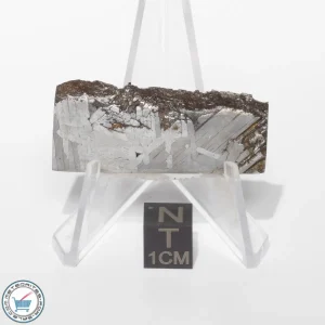 Toluca Meteorite 20.9g Slice