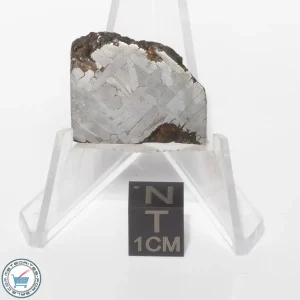 Toluca Meteorite 11.4g Slice