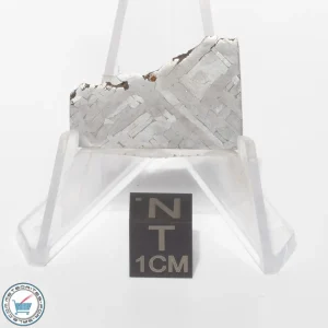 Toluca Meteorite 8.1g Slice