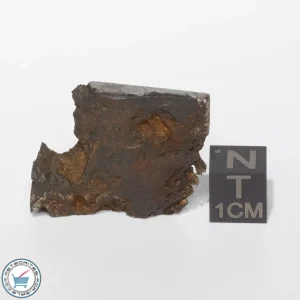 Toluca Meteorite 16.0g End-Cut