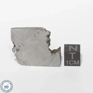 Toluca Meteorite 16.0g End-Cut