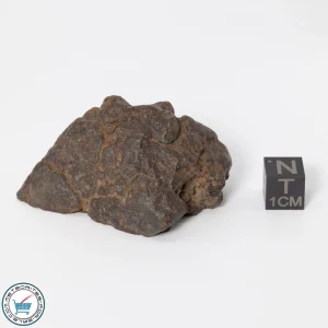 UNWA Meteorite End Piece 65.2g