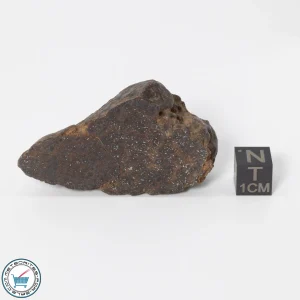 UNWA Meteorite End Piece 65.2g