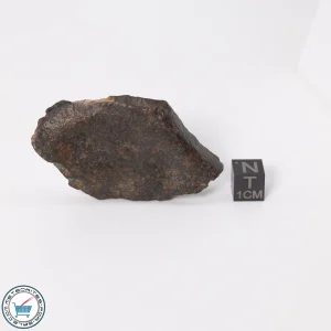 UNWA Meteorite End Piece 39.8g