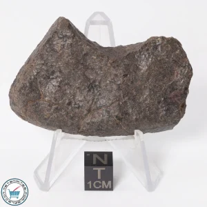 UNWA Meteorite End Piece 55.5g