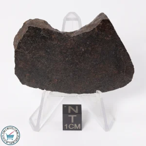 UNWA Meteorite End Piece 55.5g