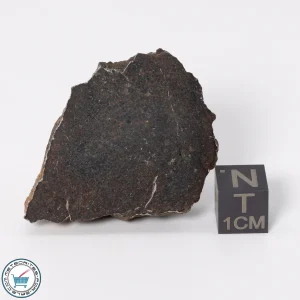 UNWA Meteorite End Piece 30.7g