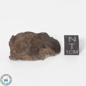 UNWA Meteorite End Piece 20.7g