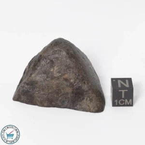 UNWA Meteorite End Piece 52.3g