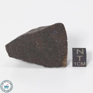 UNWA Meteorite End Piece 52.3g