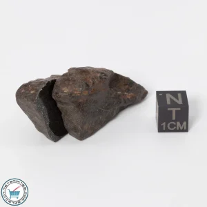 UNWA Meteorite End Piece 33.0g Matched Pair