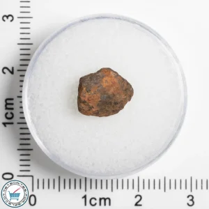 Veevers Iron Meteorite 1.43g