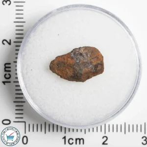 Veevers Iron Meteorite 1.34g