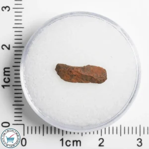 Veevers Iron Meteorite 0.50g