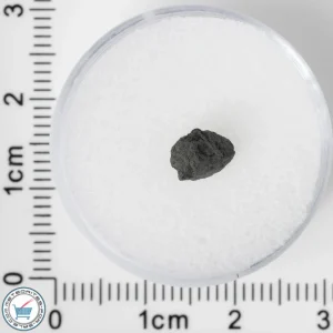 NWA 8534 CM1/2 Meteorite 0.15g