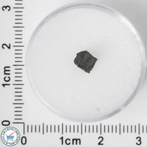 NWA 8534 CM1/2 Meteorite 0.11g
