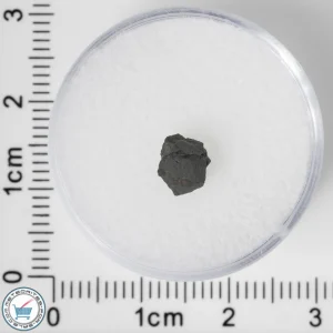 NWA 8534 CM1/2 Meteorite 0.12g