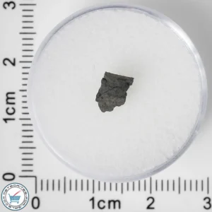 NWA 8534 CM1/2 Meteorite 0.14g