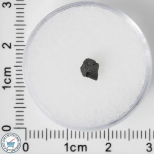 NWA 8534 CM1/2 Meteorite 0.07g