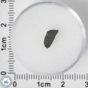 NWA 8534 CM1/2 Meteorite 0.09g